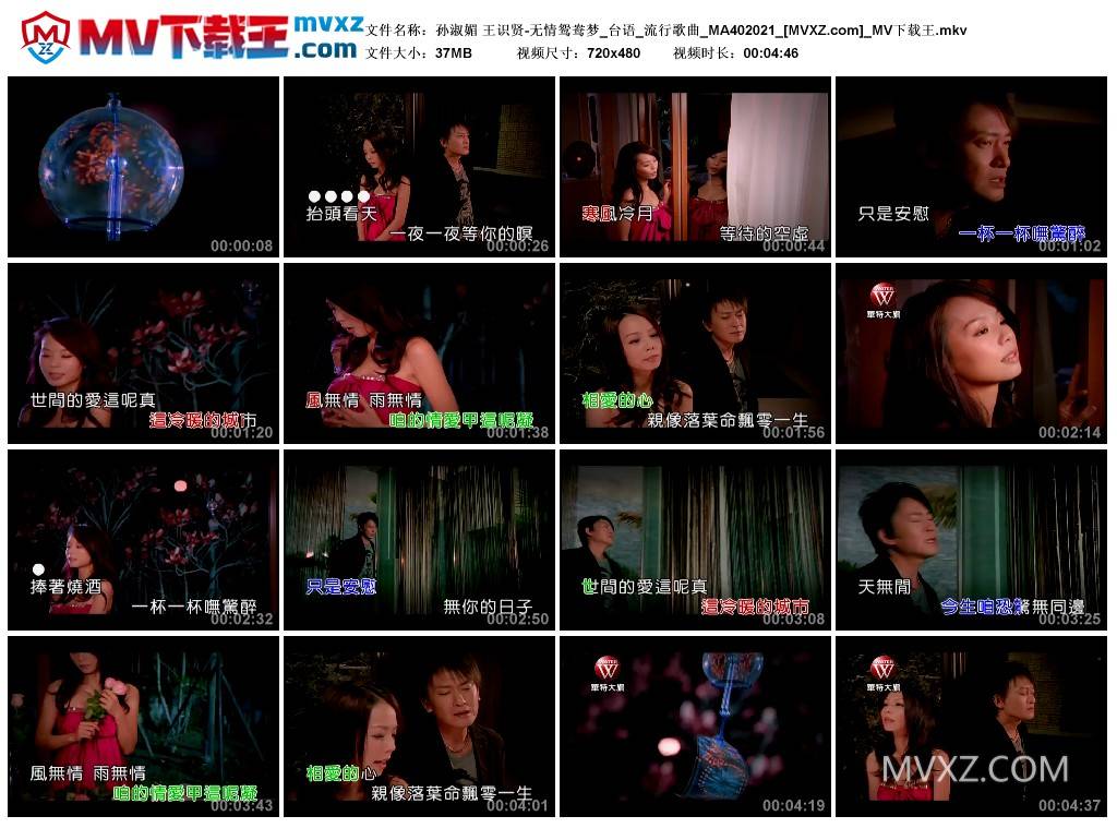 孙淑媚 王识贤-无情鸳鸯梦_台语_流行歌曲_MA402021